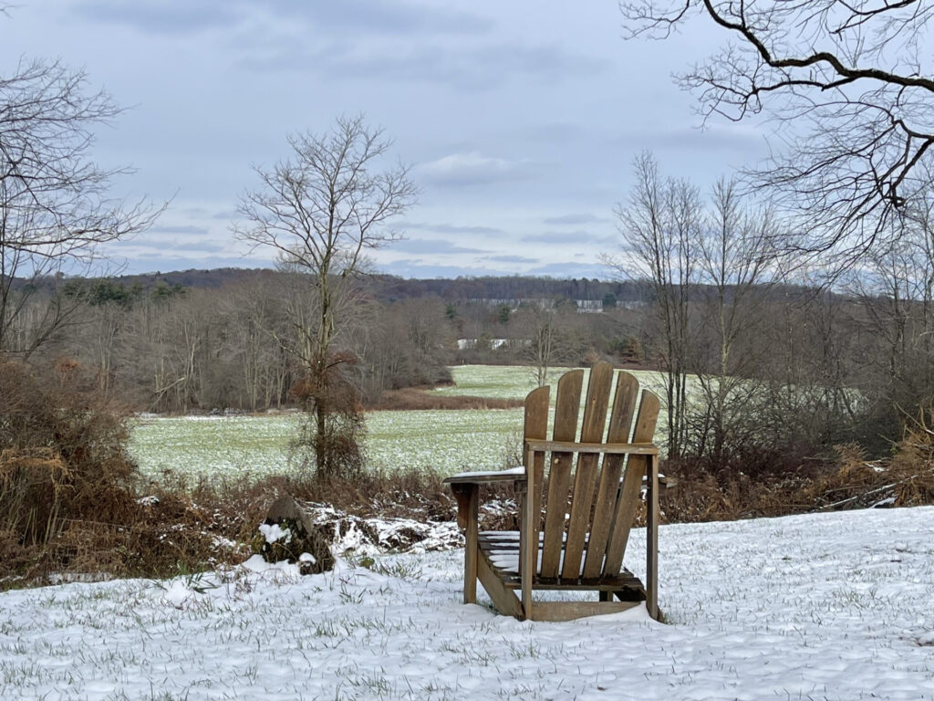 Cozy Ridge Snowfall